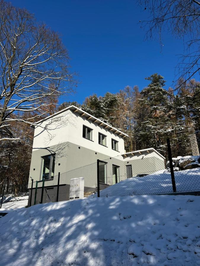The - U Sjezdovky 1 Holiday home Velke Mezirici